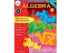 Algebra Success Workbook