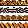 Animal Print Scalloped Borders - Variety Pack