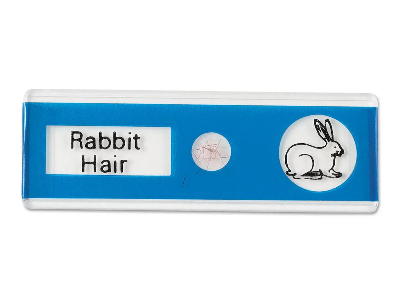 Animals Prepared Slide Kit