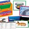 Animals Vocabulary Development Photo Card Library