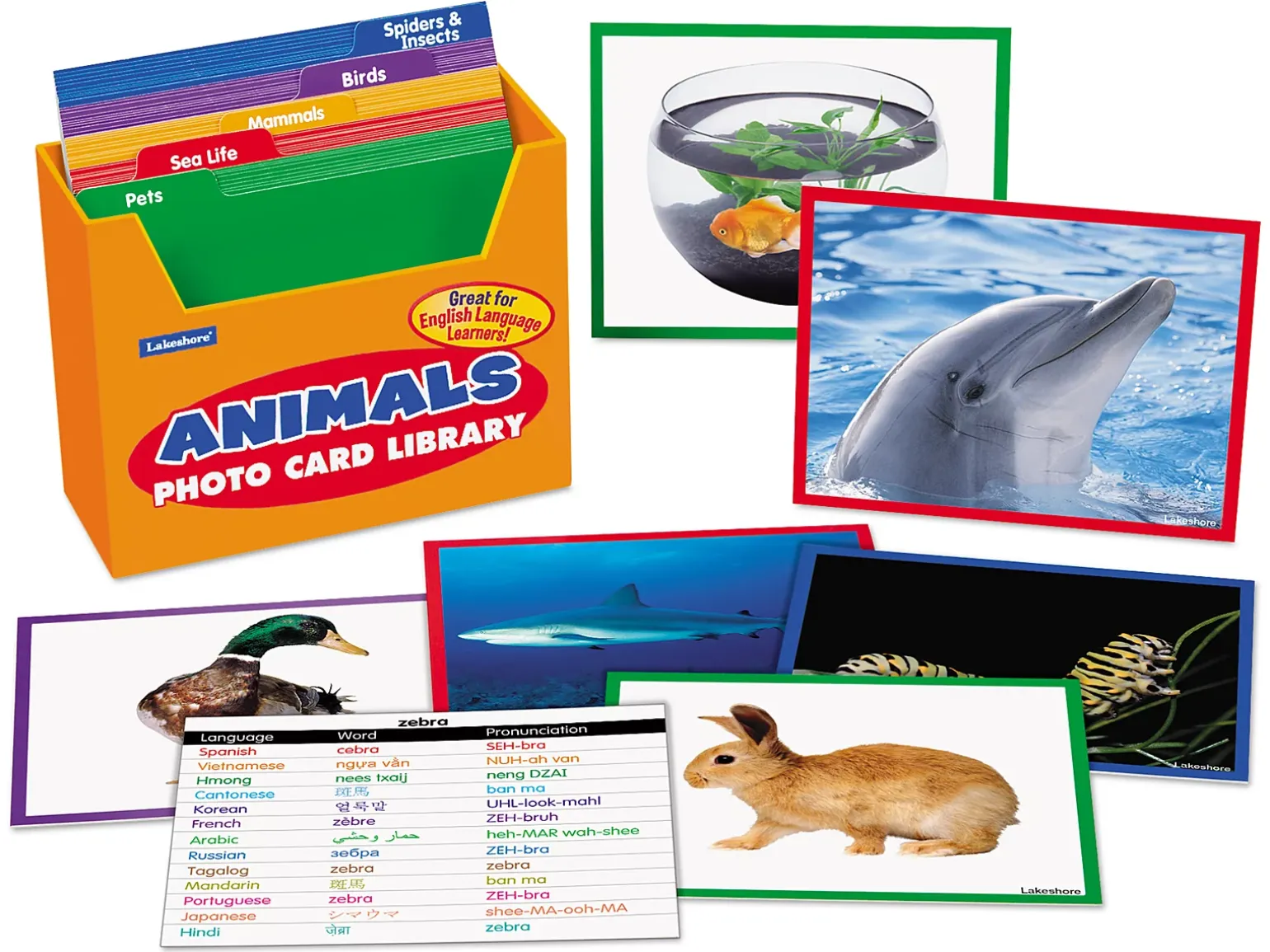 Animals Vocabulary Development Photo Card Library