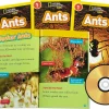 Ants Read-Along
