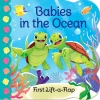 Babies in the Ocean Lift-A-Flap Board Book