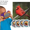 Birds Science Viewer