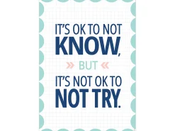 Calm & Cool It’s OK to Not Know Poster