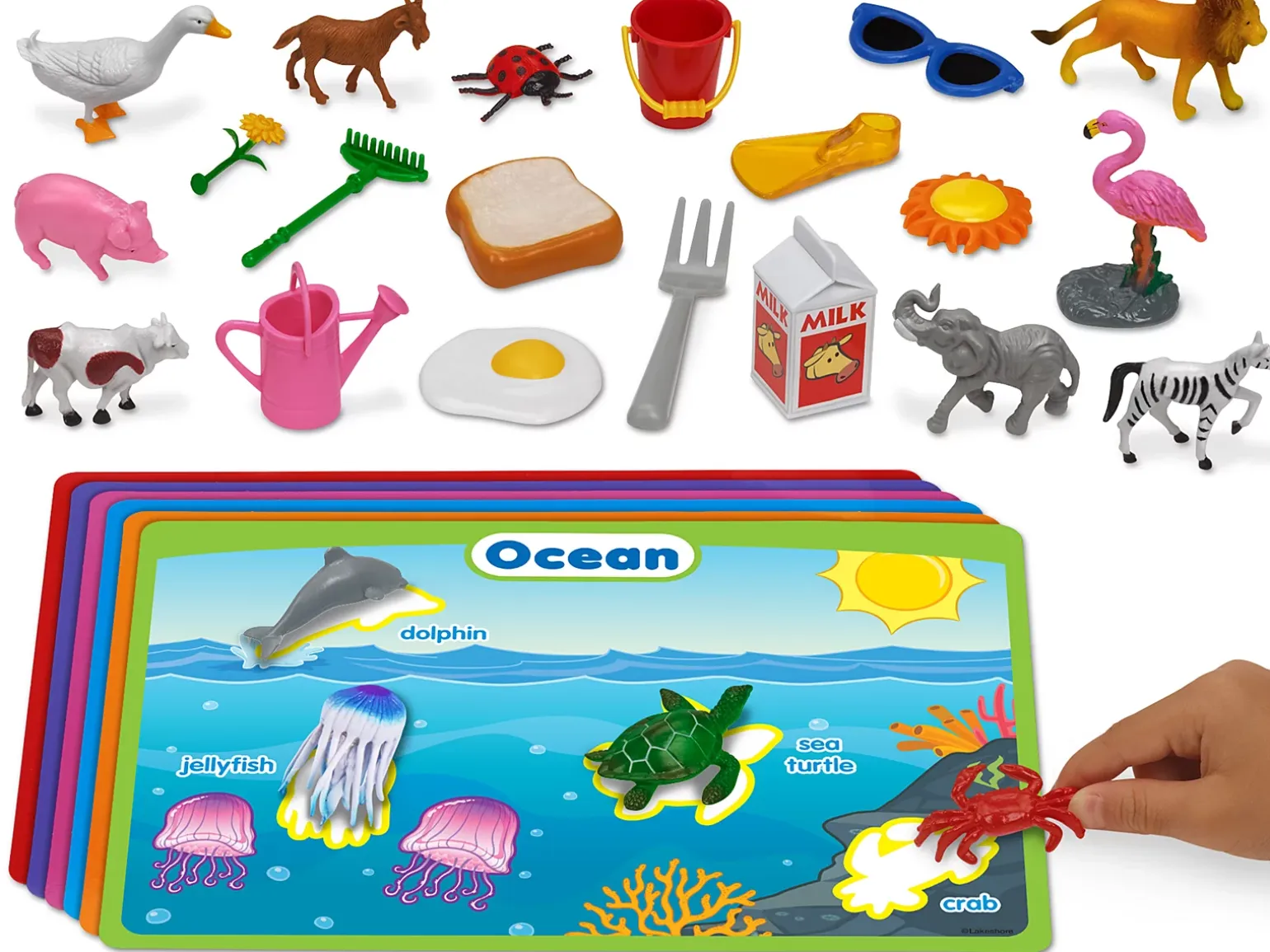 Category Sorting Activity Box