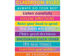 Colorful Vibes Classroom Rules Poster