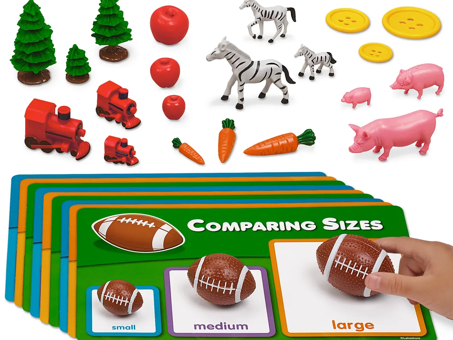 Comparing Sizes Activity Box