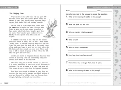 Comprehension Workbook - Gr. 3