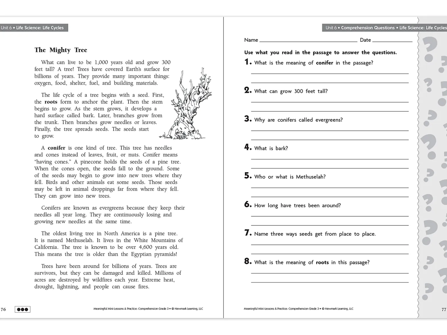 Comprehension Workbook - Gr. 3