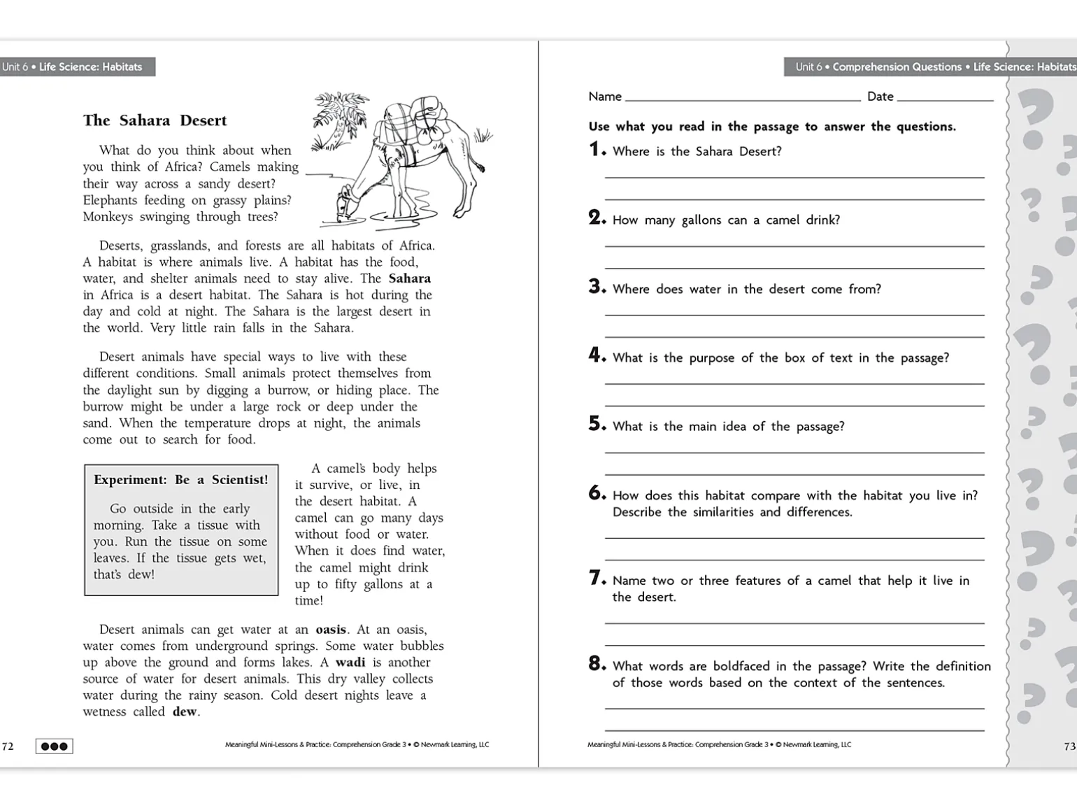 Comprehension Workbook - Gr. 3