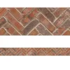 Curiosity Garden Brick Border