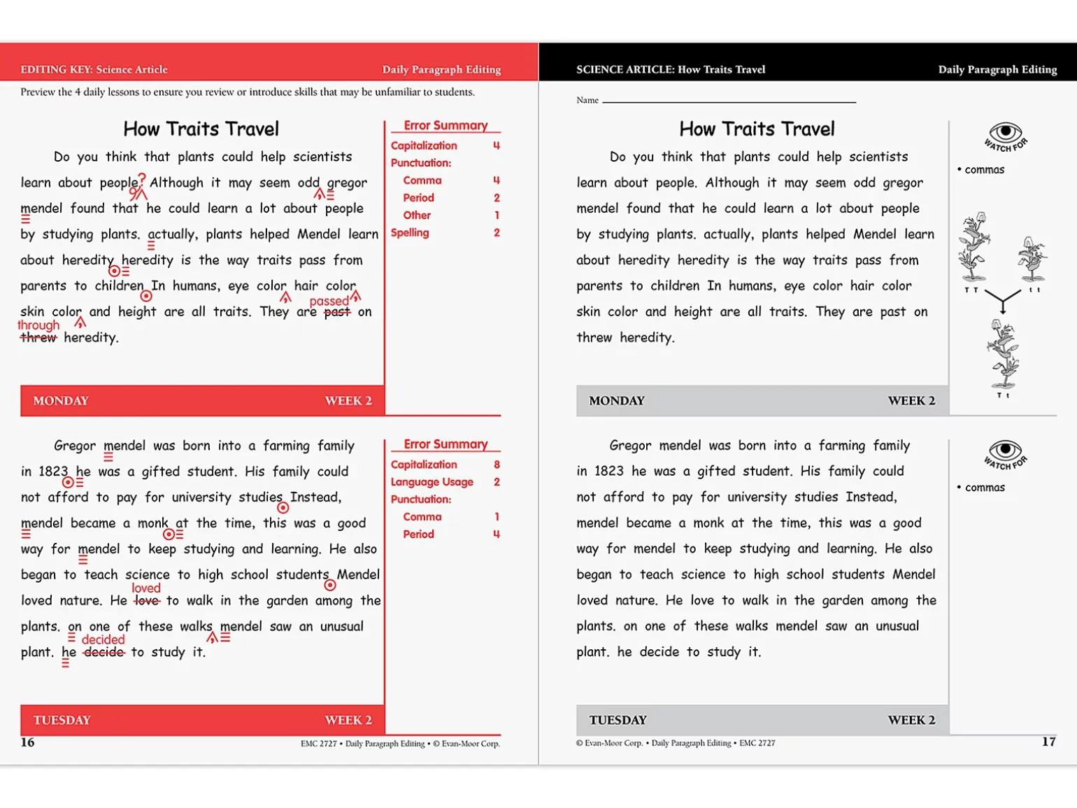 Daily Paragraph Editing Workbook - Gr. 4