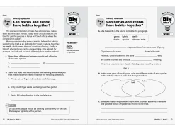 Daily Science Reproducible Activities Workbook - Gr. 6