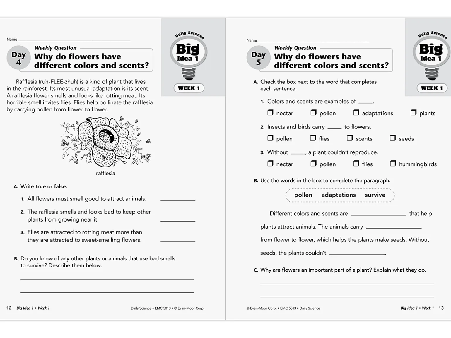 Daily Science Reproducible Activities Workbook - Gr. 3