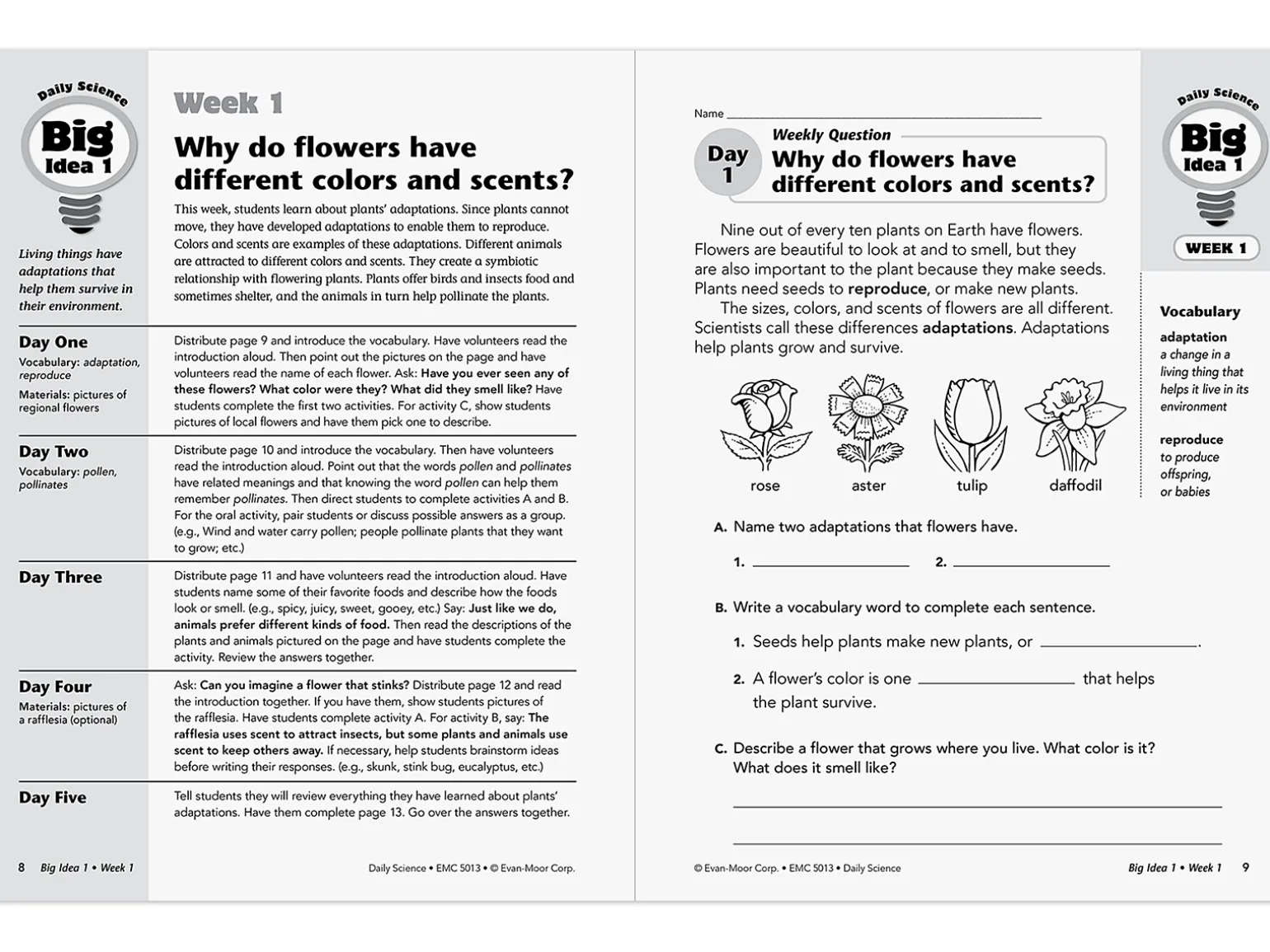 Daily Science Reproducible Activities Workbook - Gr. 3