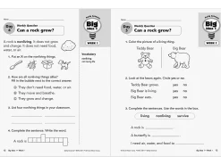 Daily Science Reproducible Activities Workbook - Gr. 1