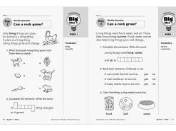 Daily Science Reproducible Activities Workbook - Gr. 1