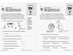 Daily Science Reproducible Activities Workbook - Gr. 2