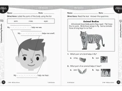 180 Days of Science Workbook - Kindergarten