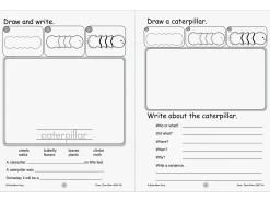 Draw…Then Write Workbook