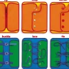 Dressing Frames - Complete Set