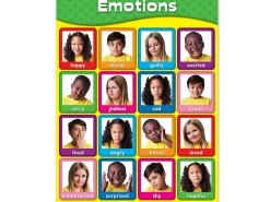Emotions Photo Poster