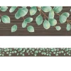 Eucalyptus Border