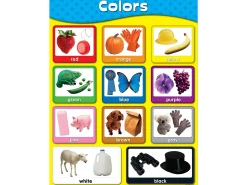 Exploring Colors Poster