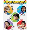 Five Senses Photo Reference Poster