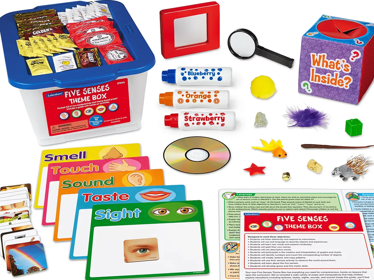 Five Senses Theme Box