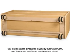 Flex-Space Jr.® Mobile Store Anything Shelves