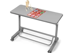 Flex-Space Mobile Standing Desk for Two - Gray