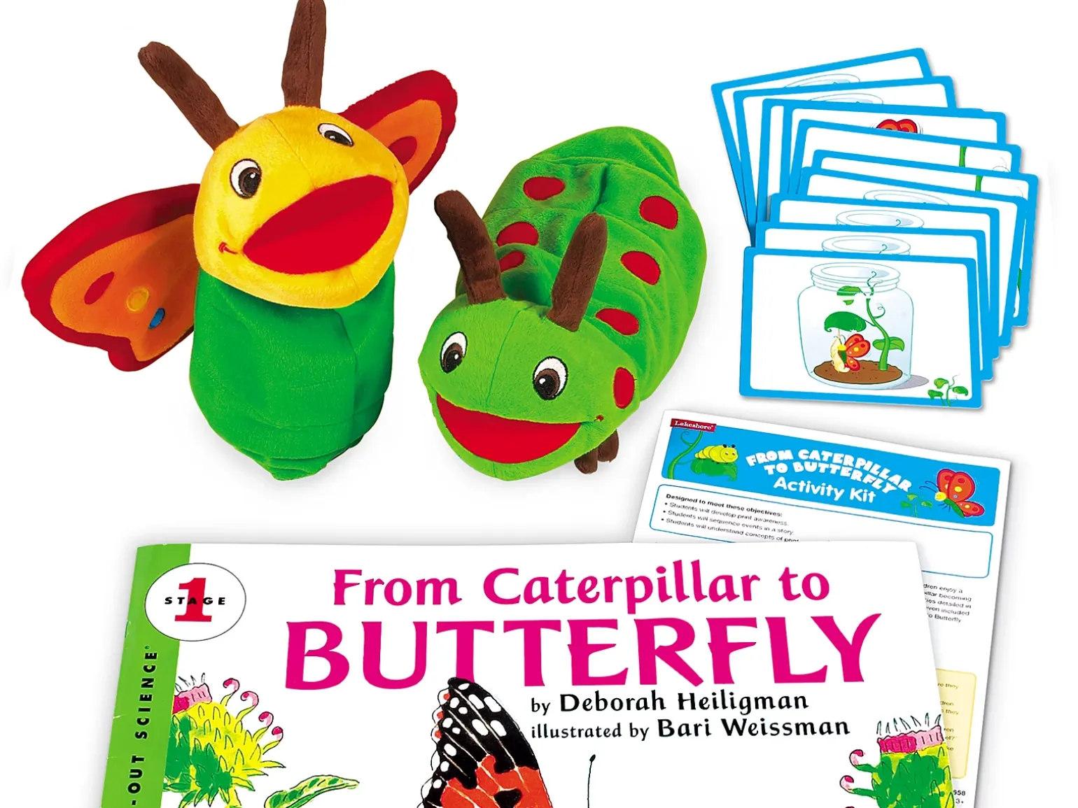 From Caterpillar to Butterfly Big Book Activity Kit