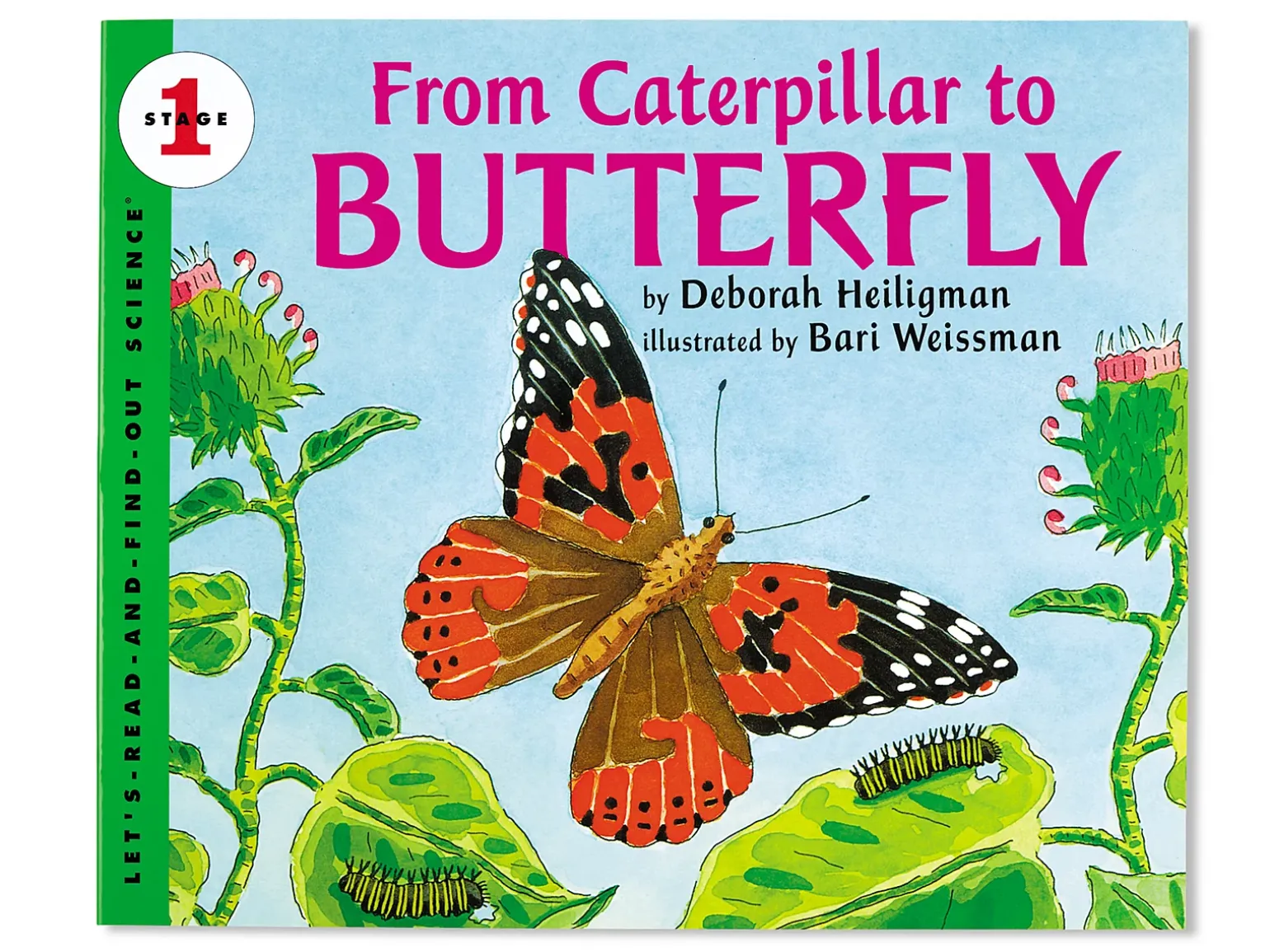 From Caterpillar to Butterfly Big Book