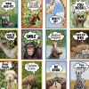 Go Wild Animals Motivational Small Poster Pack