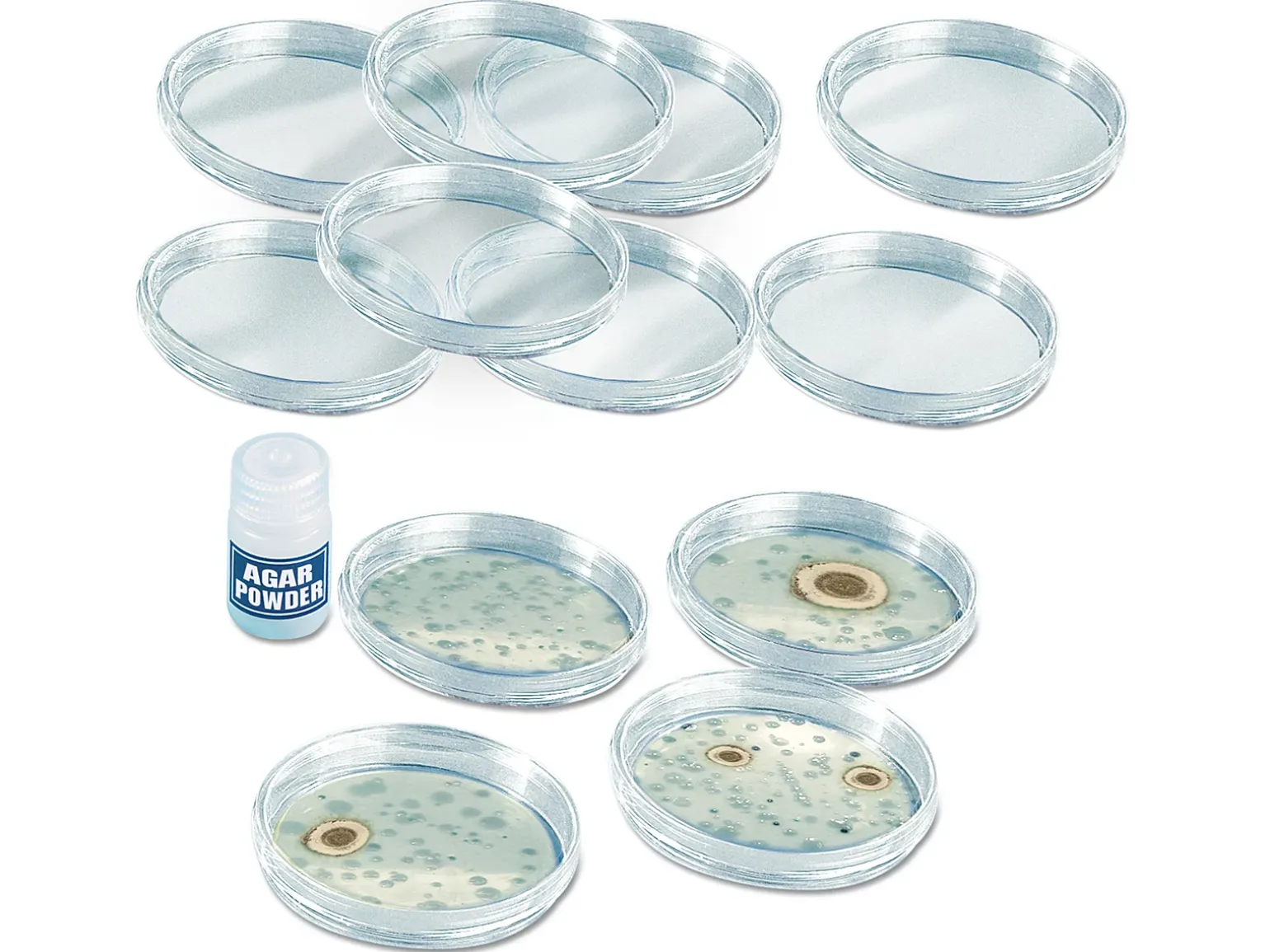 Growing Bacteria Classroom Kit