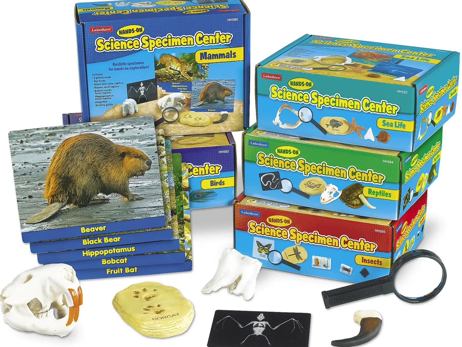 Hands-On Science Specimen Centers - Complete Set