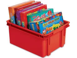 Hold-It-All Storage Bin