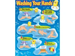 How to Wash Your Hands Poster