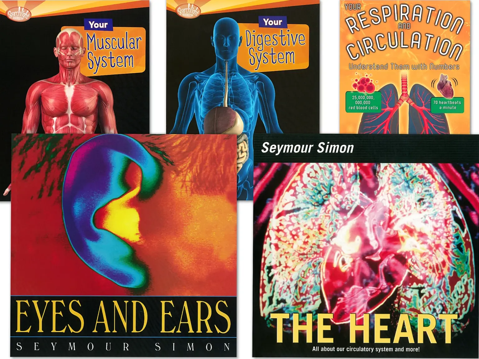 Human Body Book Library - Gr. 4-6