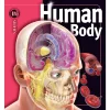 Human Body Insiders Series Hardcover Book