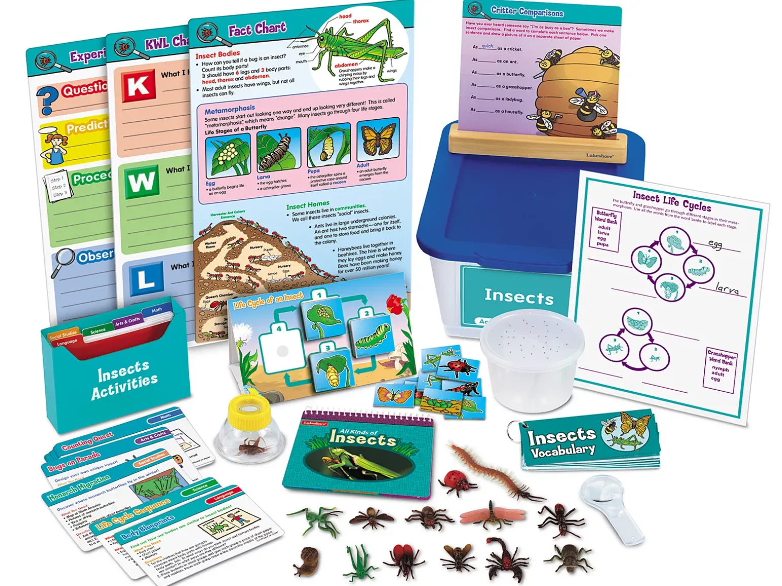 Insects Activity Tub - Gr. 1-3