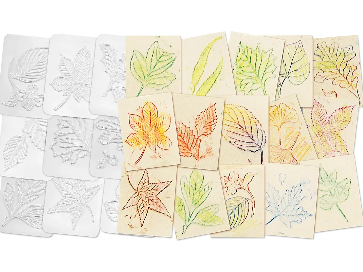 Leaf Rubbing Plates