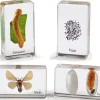 Life Cycle Specimen Set