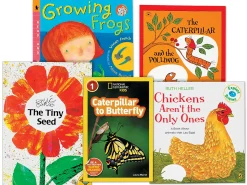 Life Cycles Theme Book Library