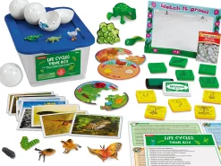 Life Cycles Theme Box