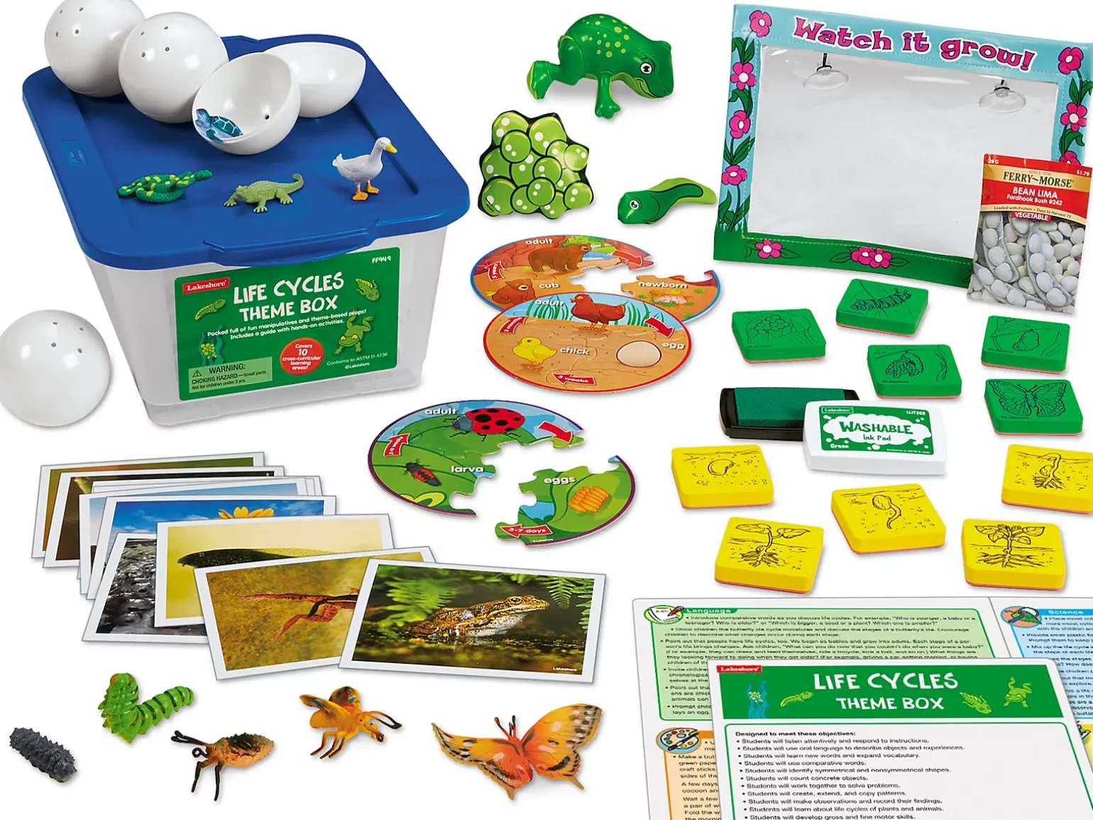 Life Cycles Theme Box