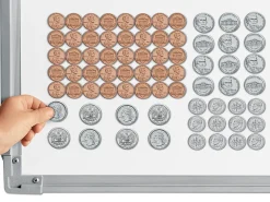 Magnetic Coins