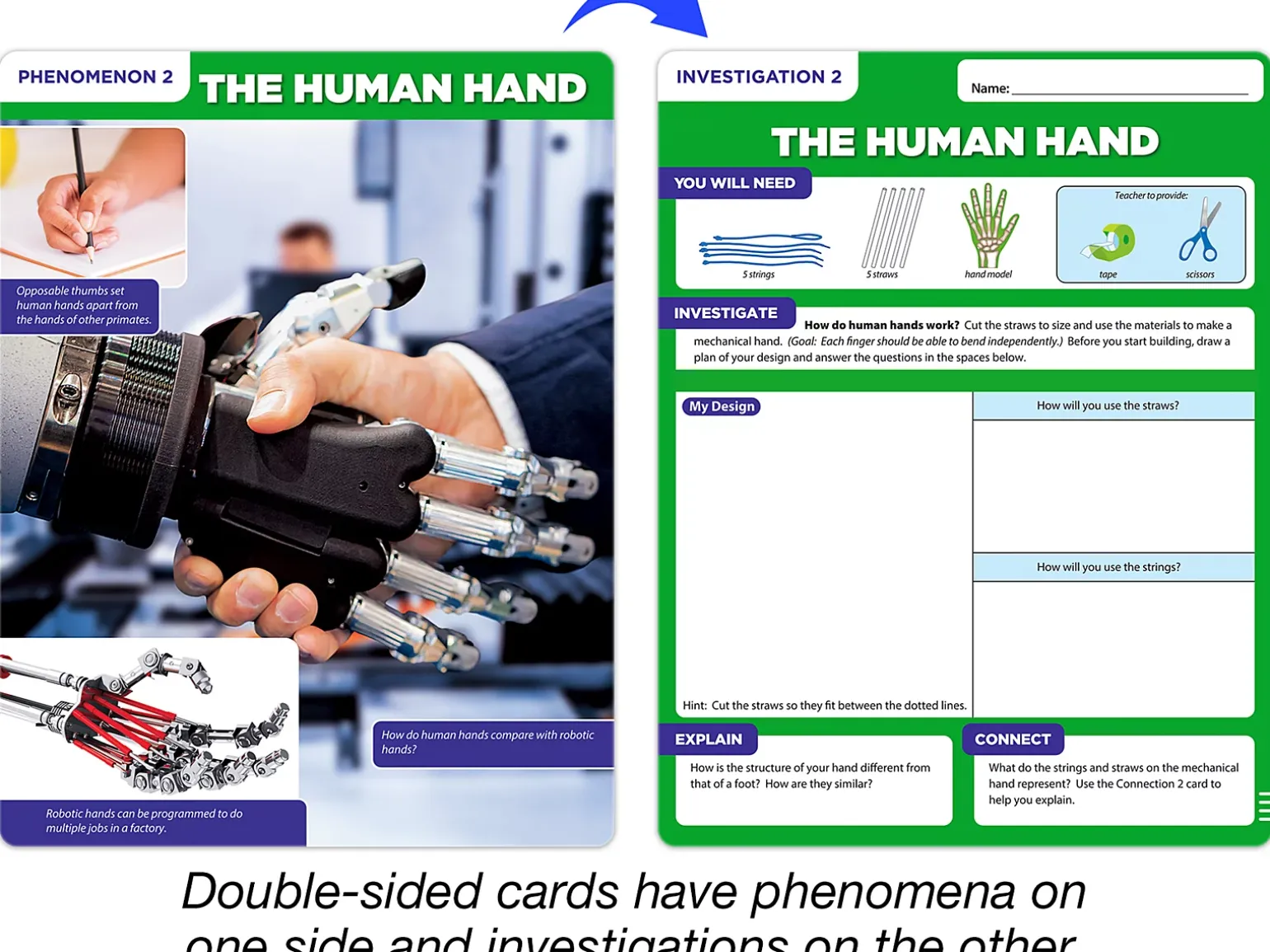 Meet the Standards Human Body Kit - Gr. 4